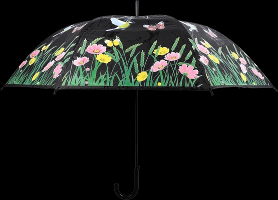 Paraguas Magico Pajaros que Cambian de Color